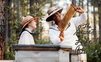The Secret Life of Bees สูตรรักรสน้ำผึ้ง