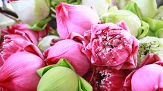 ปฏิทินวันพระ 2561 เดือนสิงหาคม