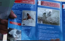 ไวรัสซิการะบาด