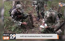 อมาโด้ กรุ๊ป ร่วมสนับสนุนโครงการ “ใครรักป่ายกมือขึ้น”