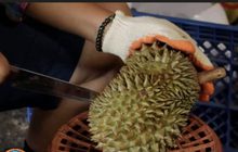 แห่ขายทุเรียนออนไลน์ สร้างรายได้ช่วงโควิด-19