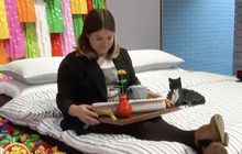 Lego จับมือ Airbnb แจกที่พัก “เลโก้เฮ้าส์”