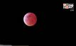 ทั่วโลกเฝ้าชมปรากฎการณ์ “Super blood wolf moon”