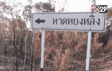 ไฟไหม้ป่าเขตอุทยานฯ หาดเจ้าไหมกว่า 50 ไร่