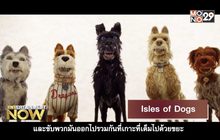 Isles of dogs