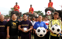 อยุธยาจัดช้างเตะบอลกับคน รณรงค์เชียร์ไร้พนัน