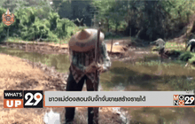 ชาวแม่ฮ่องสอนจับจั๊กจั่นขายสร้างรายได้