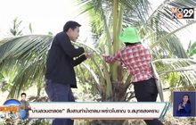 “บ้านสวนตาสอย” สืบสานทำน้ำตาลมะพร้าวโบราณ จ.สมุทรสงคราม