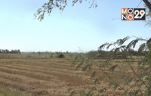 นายกรัฐมนตรี สั่งหาแหล่งน้ำสำรองแก้ภัยแล้ง