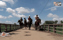 ปลุกกระแสขี่ม้าในกัมพูชา