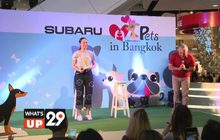 “ซูบารุ” จัดกิจกรรมพิเศษเอาใจคนรักสุนัข