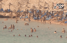 อียิปต์หวั่นเหตุเครื่องบินตกกระทบการท่องเที่ยว