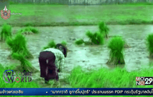 เมียนมาร์ทวงตำแหน่ง “ชามข้าวแห่งเอเชีย”