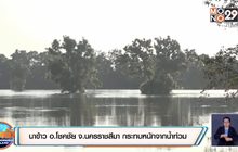 นาข้าว อ.โชคชัย จ.นครราชสีมา กระทบหนักจากน้ำท่วม