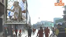 คลีนเมืองลพบุรี หลังเสร็จภารกิจจับลิง 1,190 ตัว เฟสแรก