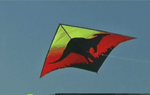 เทศกาลว่าวนานาชาติในอินเดีย