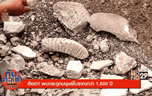 ทันข่าวเช้า 25-07-59