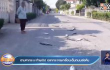 ตามหากระบะท้ายเปิด ปลากระจายเกลื่อนเต็มถนนส่งคืน