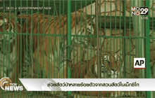 ช่วยสัตว์ป่าหลายร้อยตัวจากสวนสัตว์ในเม็กซิโก