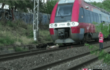 รถไฟฝรั่งเศสชนไม้ล้มขวางราง เจ็บหนัก 13 ราย