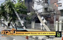 ฝนถล่มกรุง เขตดุสิต ต้นมะขาม 100 ปี เสาไฟ 9 ต้นหักโค่น