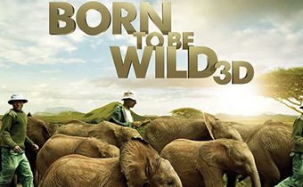 Born to Be Wild ผจญภัยสัตว์โลกทะลุจอ