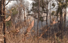 เกิดไฟป่ากว่า 300 ไร่  จ.ลำปาง