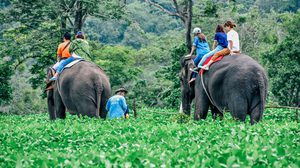 Pai in the Mist เที่ยวปายหน้าฝน กับ 12 สถานที่สุดประทับใจ