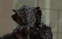 ผู้กำกับไซไฟ District 9 ส่งตัวอย่างหนังทดลองเรื่องสั้นให้แฟนชม