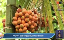 “หมาก”ส่งออกสูงสุดเป็นประวัติการณ์