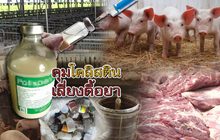 คุมโคลิสติน..เสี่ยงดื้อยา