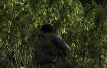 แหล่งปลูกกัญชากลางหุบเขาในอินเดีย