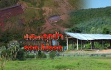 ปารีณารุกป่า รอด-ไม่รอด 28-11-62