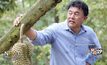 Next Millionaire ธุรกิจพิชิตรวย ตอน : “สวนละไม” ชูไอเดียบุฟเฟต์ผลไม้ ต่อยอดสู่ธุรกิจท่องเที่ยวยั่งยืน