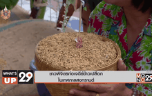 ชาวพิจิตรก่อเจดีย์ข้าวเปลือกในเทศกาลสงกรานต์