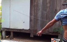 พบเด็ก 8 ขวบหายตัวเป็นศพใต้ถุนบ้านร้าง