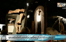 ฟอสซิลไดโนเสาร์ขนาดใหญ่ในอาร์เจนตินา