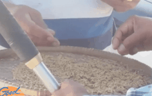 โรงสีคุมเข้มป้องกันปลอมปนข้าวหอมมะลิพันธุ์ 105