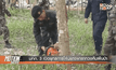 มทภ. 3 เปิดยุทธการโค่นยางพาราทวงคืนผืนป่า