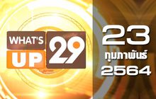 What’s Up 29 23-02-64