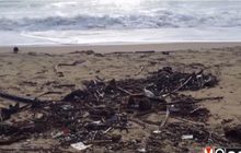 ขยะในทะเลถูกคลื่นซัดเข้าชายหาดที่ จ.ประจวบฯ