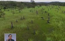 อุทยานแห่งชาติลิทช์ฟิลด์ในช่วงฤดูฝน