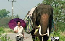 ทำความรู้จัก 2 ภาพยนตร์น่าจับตามอง จากเทศกาลซันแดนซ์ปี2017