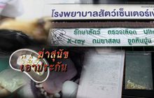 ฆ่าสุนัขเอาประกัน