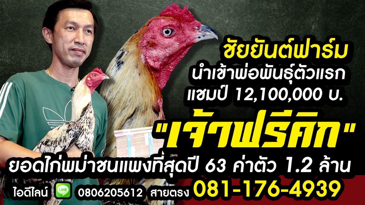 ชัยยันต์ฟาร์ม นำเข้าพ่อพันธุ์ตัวแรก "เจ้าฟรีคิก"  ค่าตัว 1.2 ล้าน แชมป์ 12.1 ล้าน