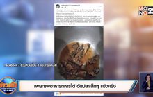 เผยภาพอาหารทหารใต้ ตัดปลาเล็กๆ แบ่งครึ่ง