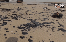 เร่งตรวจสอบคราบน้ำมันที่ชายหาดหัวหิน