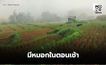 สภาพอากาศวันนี้ ไทยตอนบนอุณหภูมิสูงขึ้น แต่ยังหนาวเย็น-มีหมอกเช้า / ภาคใต้ฝนลด