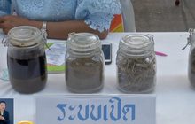 ยืนยันสารสกัดกัญชาฯ 2,500 ขวดแรกใช้กับผู้ป่วยวิจัย 2 ประเภท 