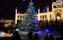 เปิดตัวต้นคริสต์มาสยักษ์ประดับคริสตัล